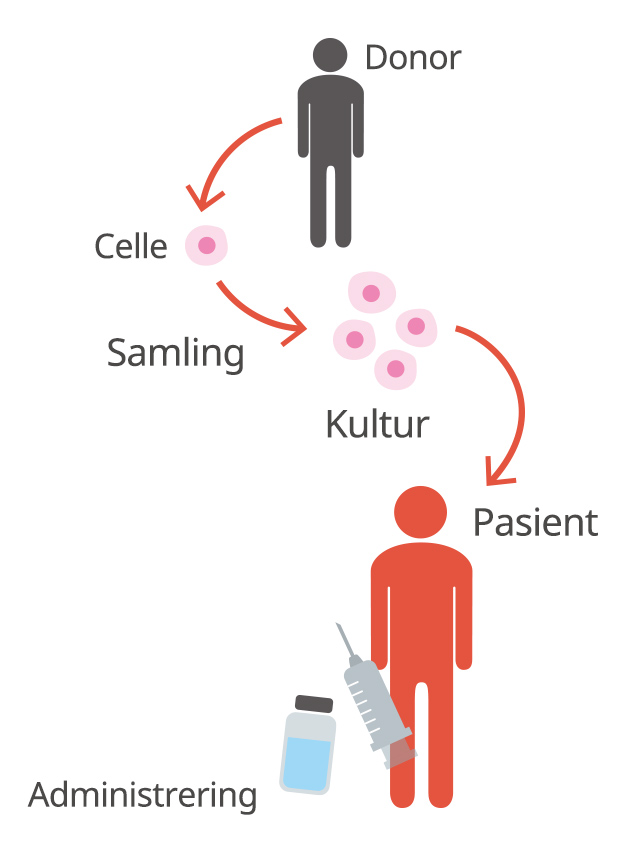 Donor → Celle  → Samling → Kultur → Administrering Pasient